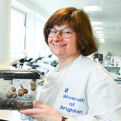 Sarah Pitt FIBMS, Virology Specialist Panel Member and IBMS Council Member